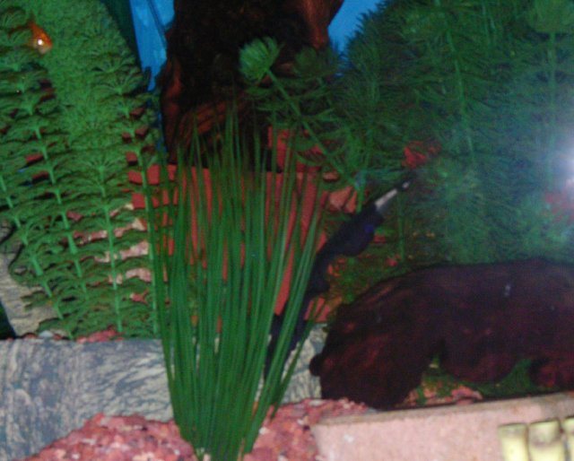 2007_0226_214045AA.JPG