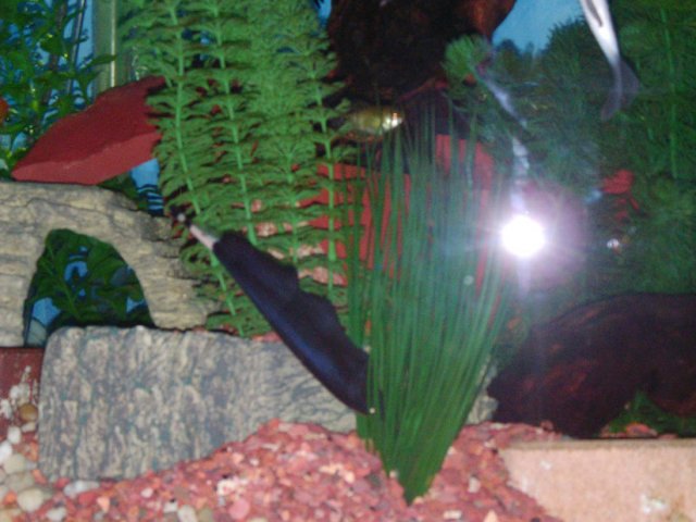 2007_0226_214144AA.JPG