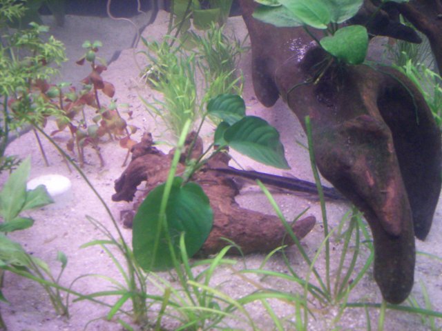 100_0594.jpg