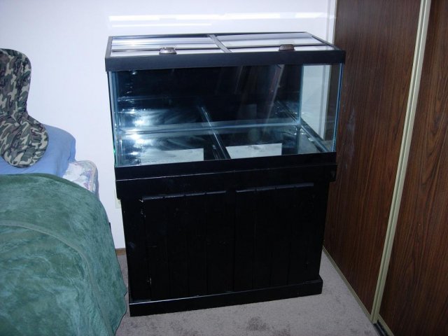 DSCN1153.JPG DSCN1153.JPG