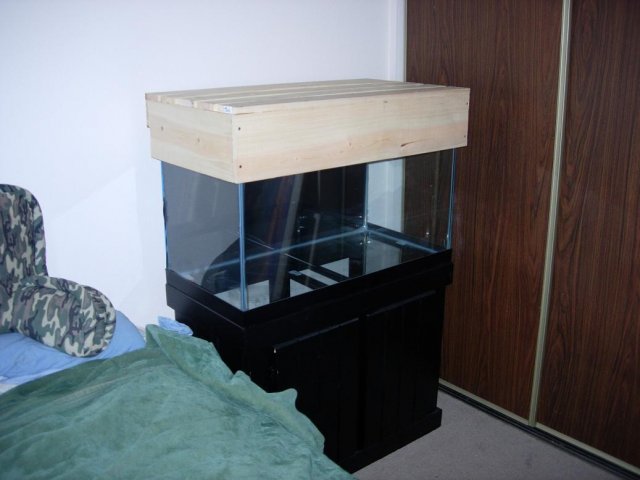 DSCN1155.JPG