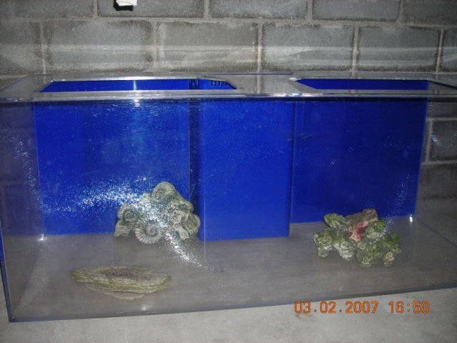 emptytank20001.JPG