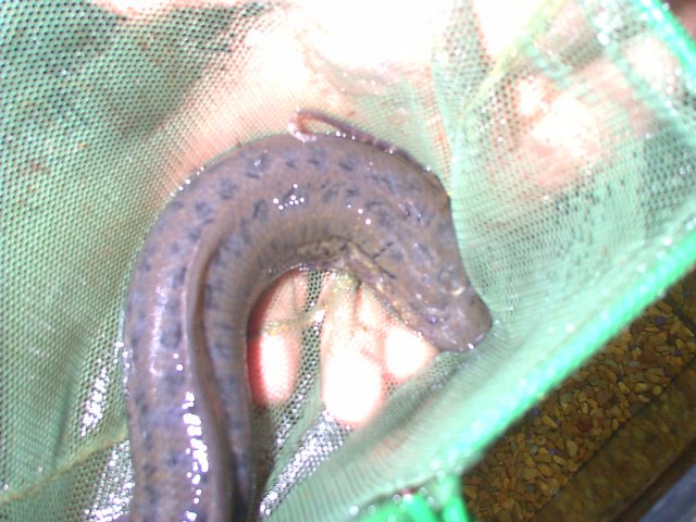 IMAGE020.JPG