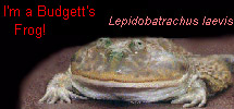 result3.jpg result3.jpg