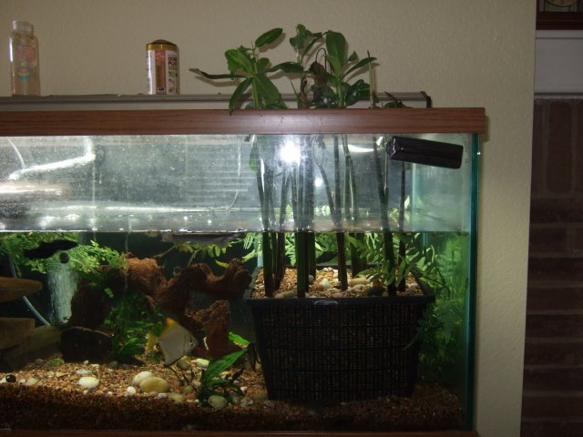 DSCF0274_031.jpg