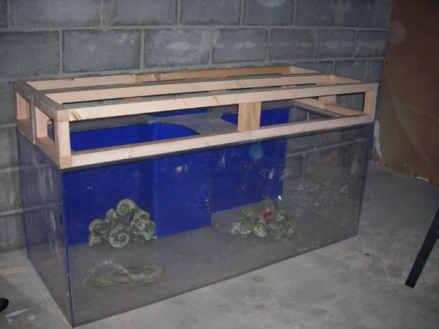 DSCN05150004.JPG
