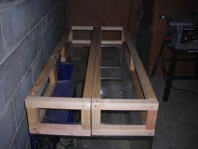 DSCN05170006.JPG