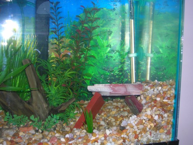 DSCN2751.JPG