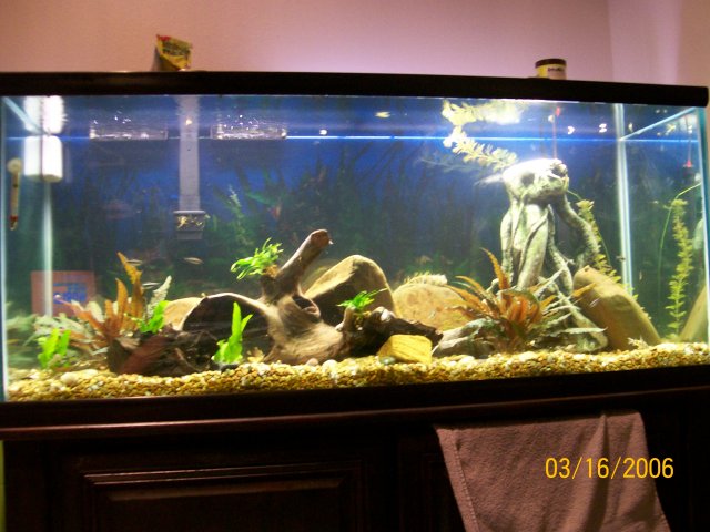 100_0685.JPG