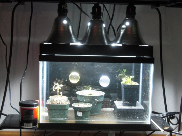 lights.JPG lights.JPG