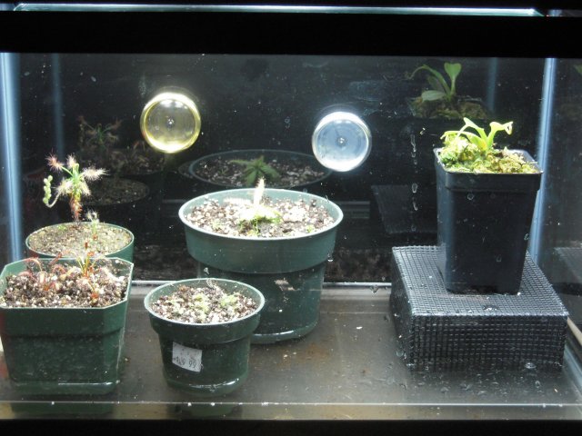fts1.JPG fts1.JPG