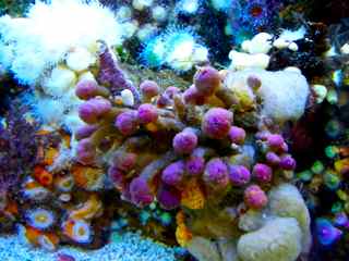 DSCF4350.jpg
