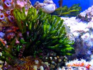 DSCF4354.jpg