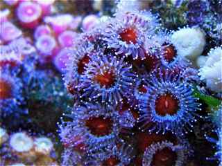 DSCF4337.jpg