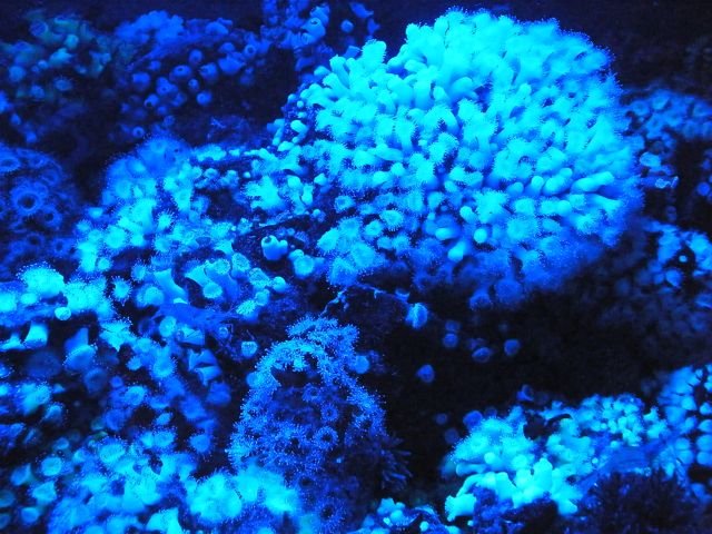 DSCF4373.jpg