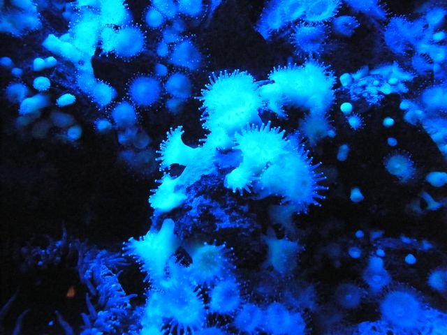DSCF4360.jpg
