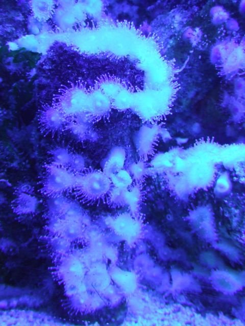 DSCF1971.jpg