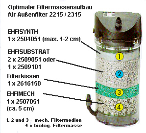 FM_2215.JPG