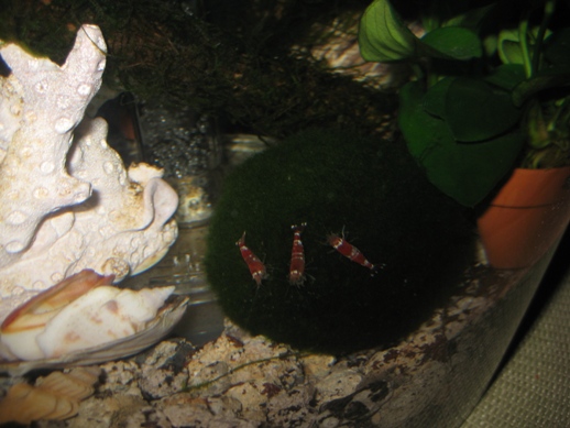 IMG_8666sm.jpg