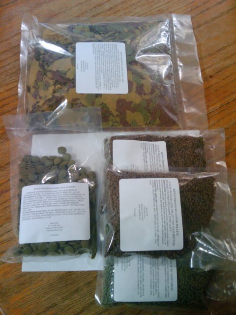 2010-03-05 14.23.15.jpg