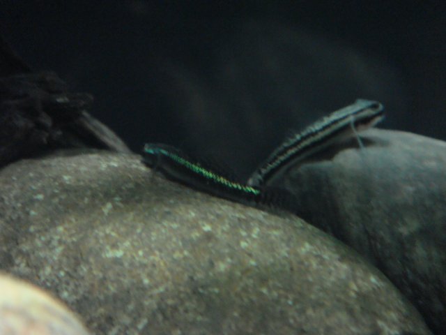 DSC03202.JPG