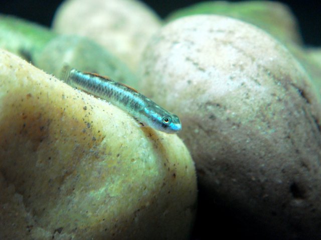 DSC03214.JPG