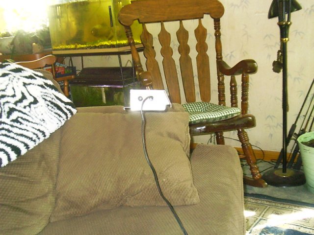 lamp switch end.jpg