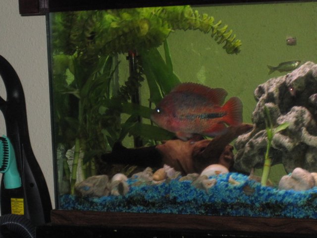 fresh water tank 001.jpg