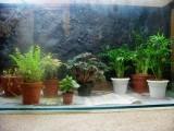 Broad view of semi-completed 125 Gallon Terrarium 2.jpg