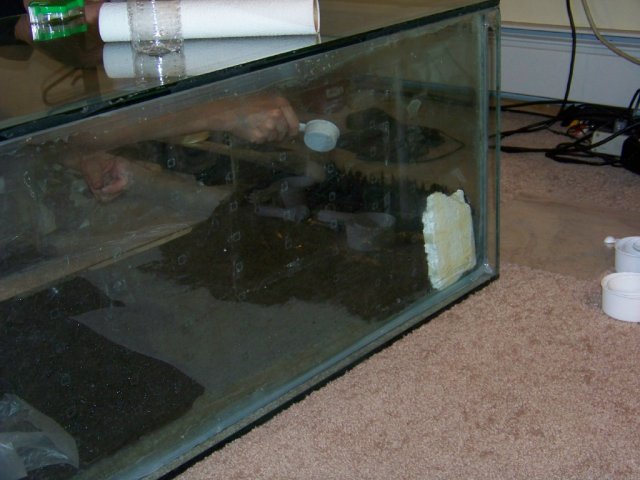 Completely Cover the Foam During the Curing Process.jpg