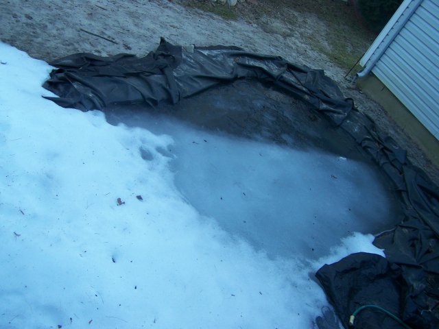 100_3196.JPG