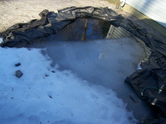 100_3197.JPG