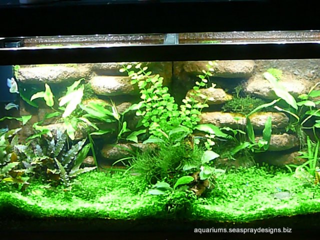 P1120704.jpg