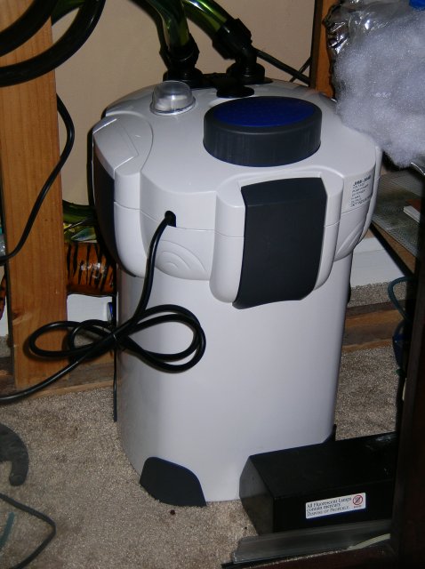pictures 005.JPG