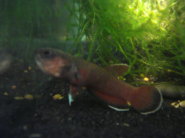 DSC03221.JPG