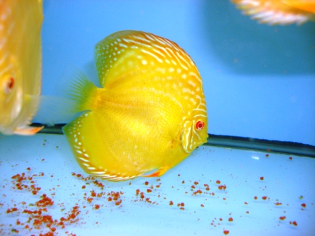 March 11, 2010 033.JPG