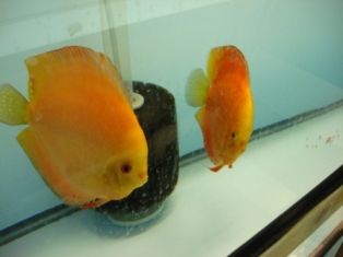 March 11, 2010 056.JPG