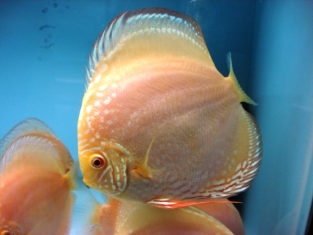March 11, 2010 013.JPG