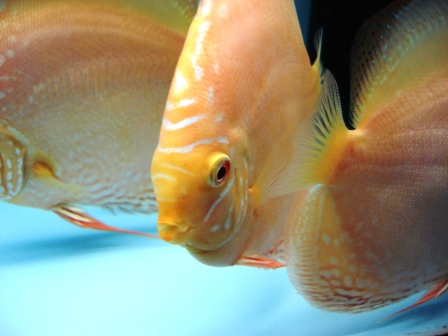 March 11, 2010 014.JPG