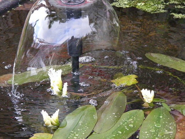 064.JPG