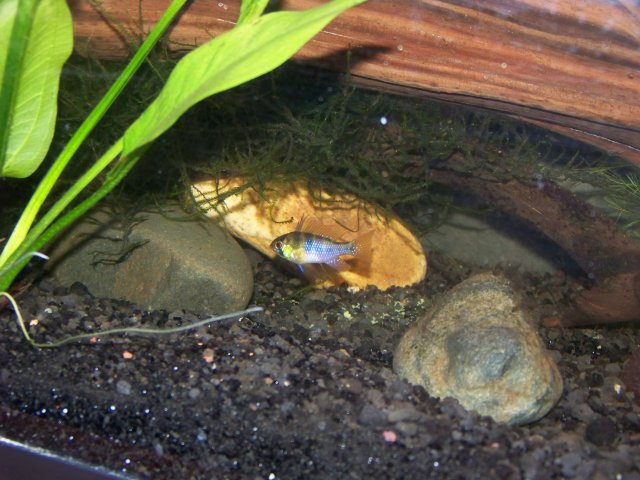 100_4390.JPG
