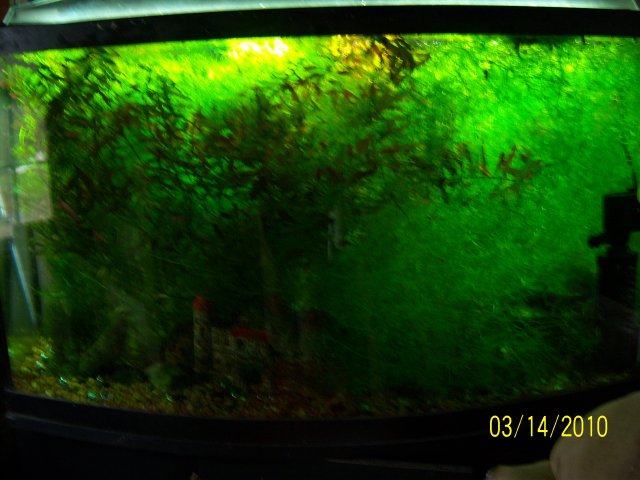 100_2804.jpg