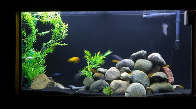 80gal1.jpg