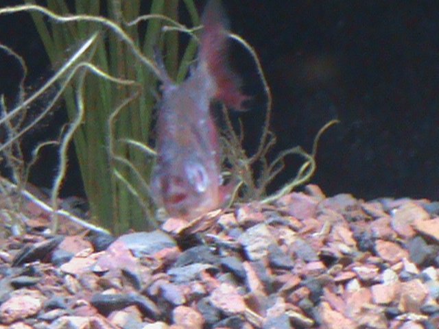 DSC00020.JPG