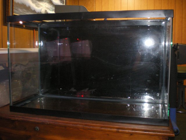 IMGP5287.JPG