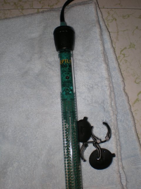 IMGP5285.JPG