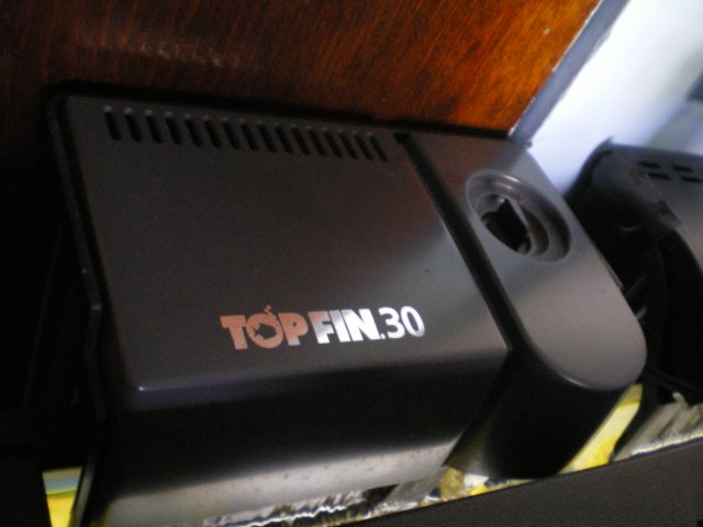 IMGP5454.JPG