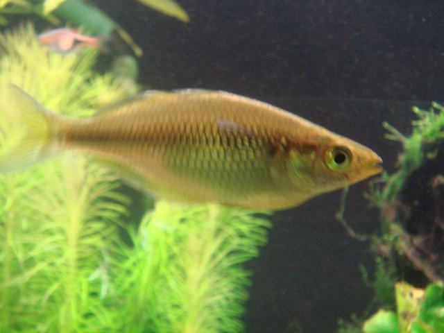 DSC06521.JPG