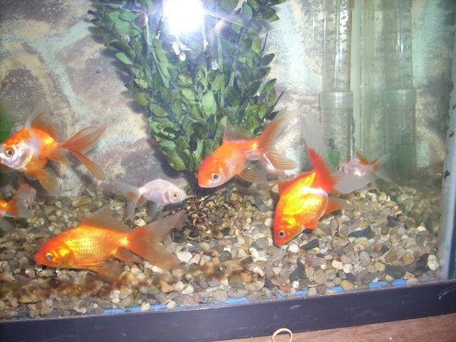 DSCN0747.JPG