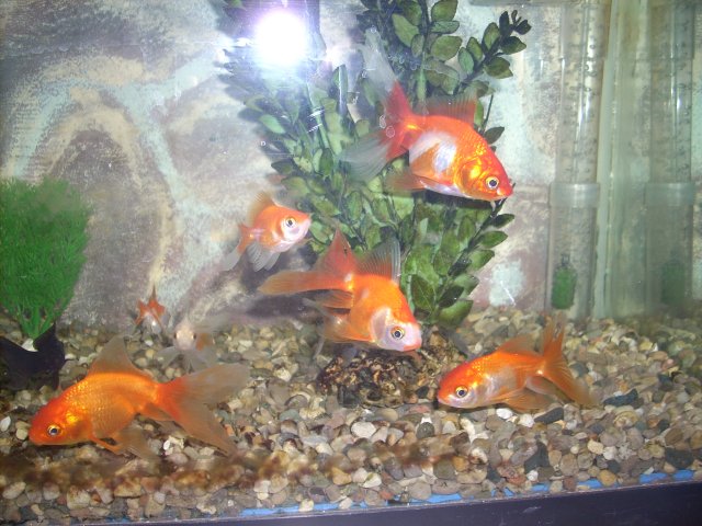DSCN0748.JPG